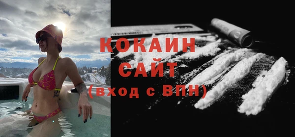 тгк Абаза