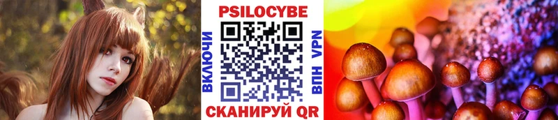 МЕГА маркетплейс  Щёлкино  нарко площадка клад  Псилоцибиновые грибы Psilocybine cubensis 