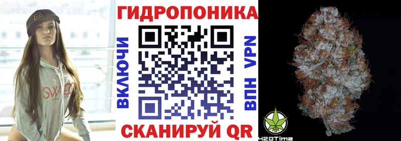 Конопля Bruce Banner  где купить наркотик  Щёлкино 